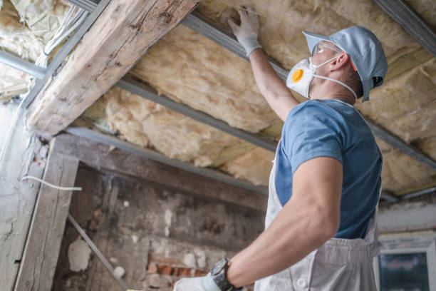 Best Energy Efficiency Insulation in Villa Rica, GA