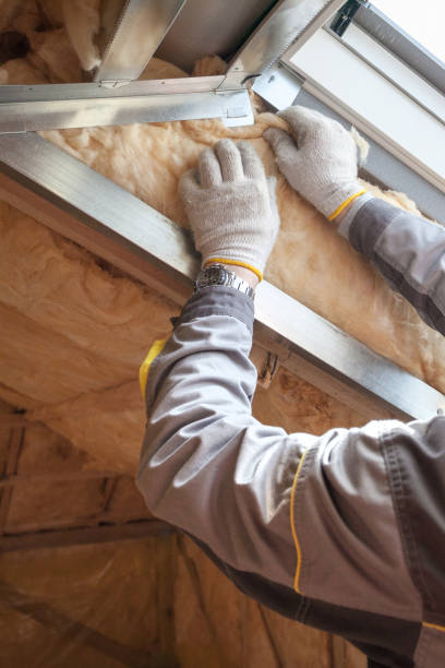 Best Eco-Friendly Insulation in Villa Rica, GA