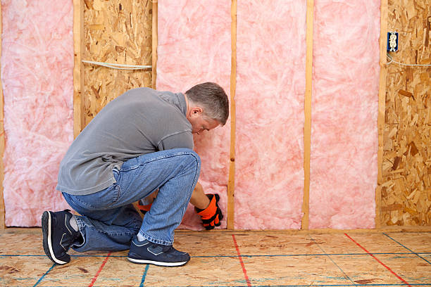 Best Residential Insulation in Villa Rica, GA