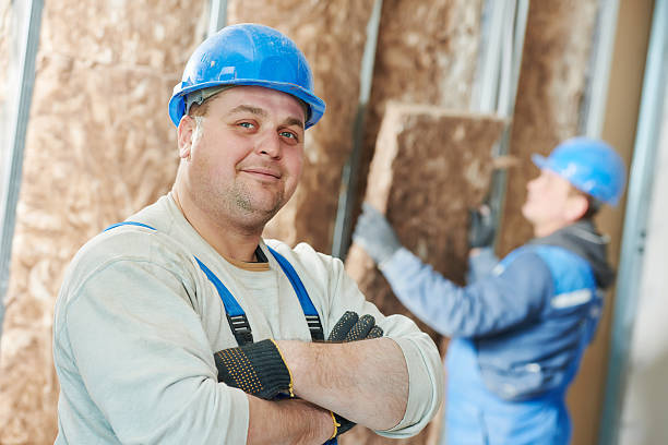 Best Cellulose Insulation in Villa Rica, GA
