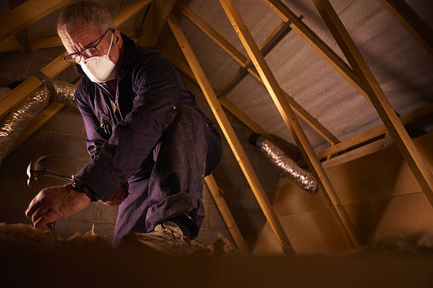 Best Specialized Insulation Services in Villa Rica, GA
